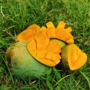 গোবিন্দভোগ আম ১০ কেজি হোম ডেলিভারি